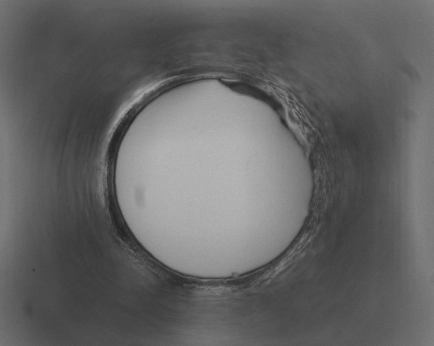 X0000116270342200912291337
