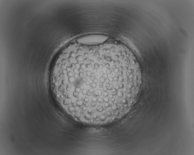 X0000116270346200912291337