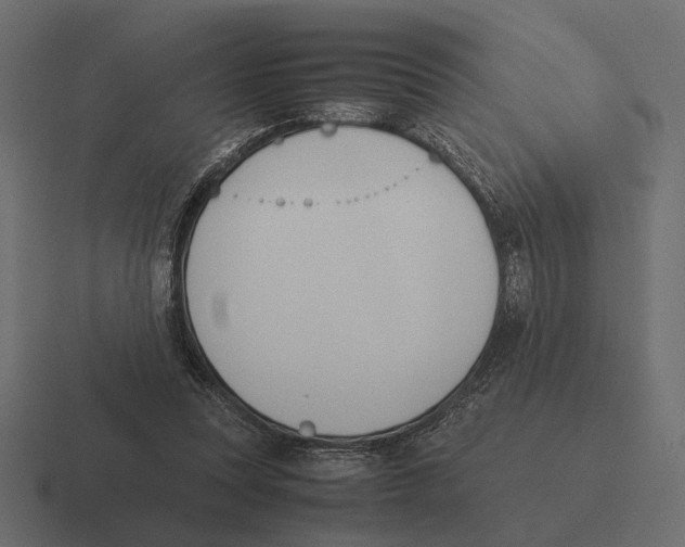 X0000116270351200912291338