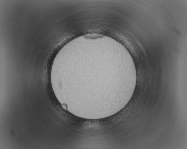X0000116270354200912291338
