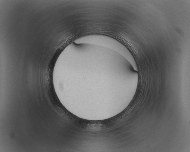 X0000116270362200912291338