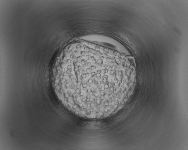 X0000116270366200912291338