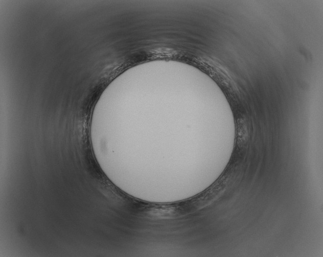 X0000116270369200912291338