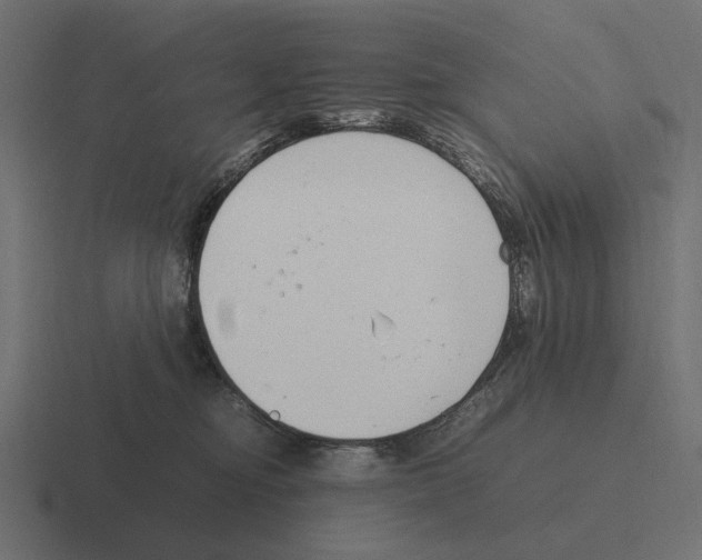 X0000116270374200912291338
