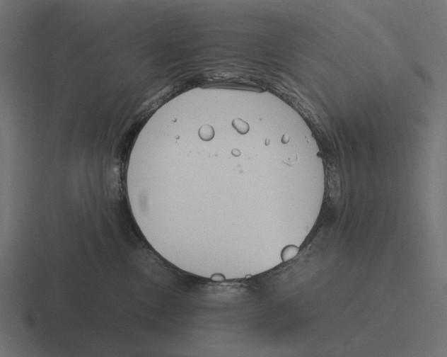 X0000116270378200912291338
