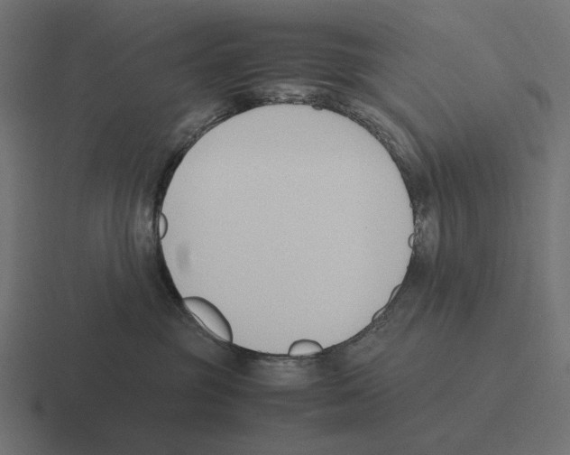 X0000116270381200912291338