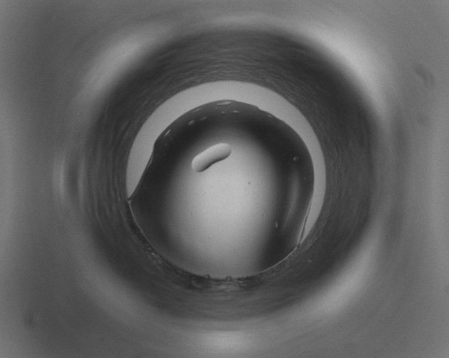 X0000116270382200912291338