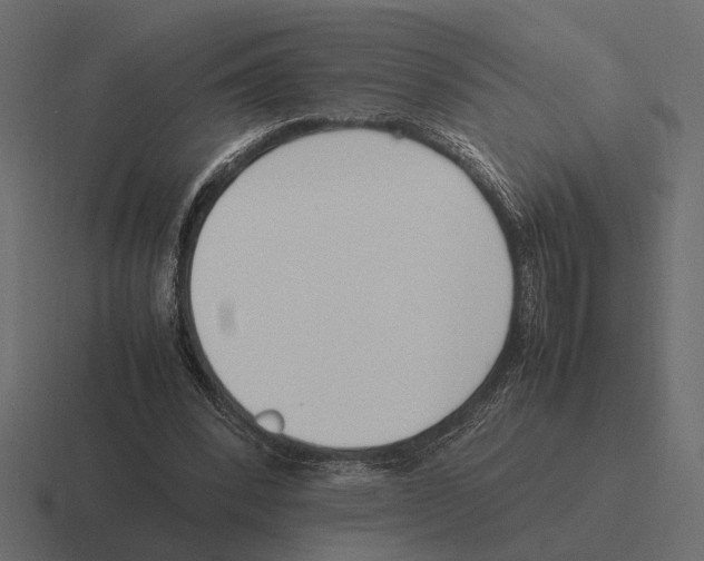 X0000116270392200912291337