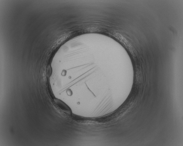 X0000116270393200912291337