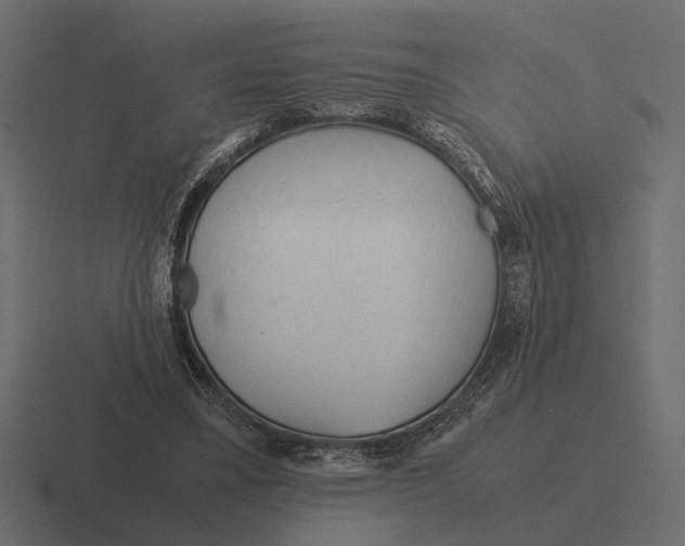 X0000116270395200912291337