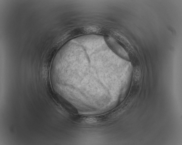 X0000116270409200912291337