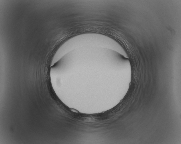 X0000116270411200912291337