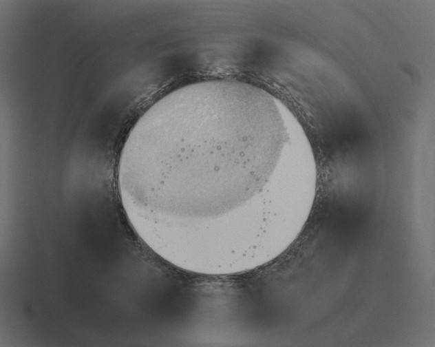 X0000116270415200912291337