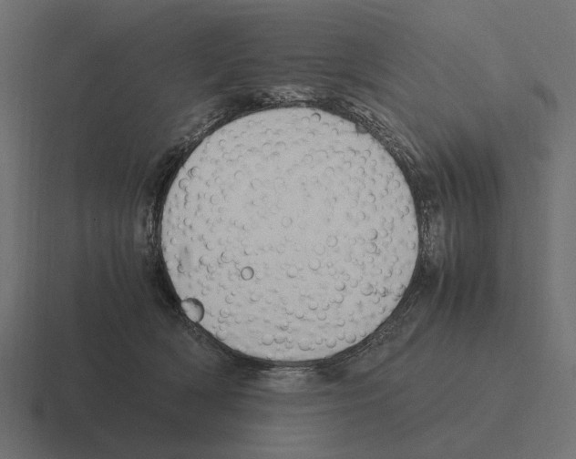 X0000116270418200912291337