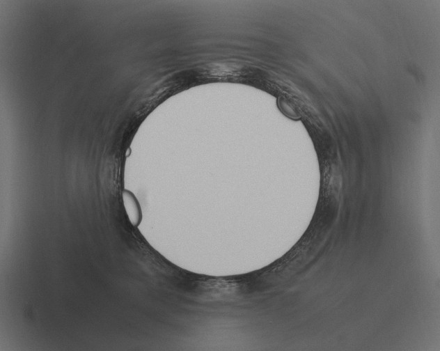 X0000116270421200912291337