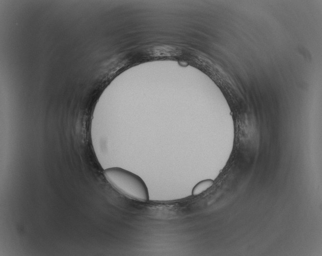 X0000116270422200912291337