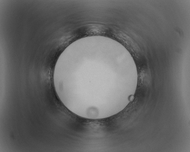 X0000116270423200912291337