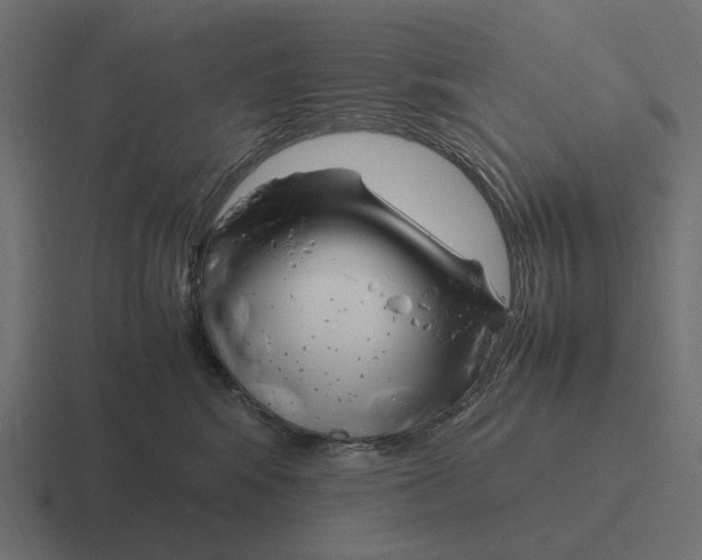X0000116270424200912291337