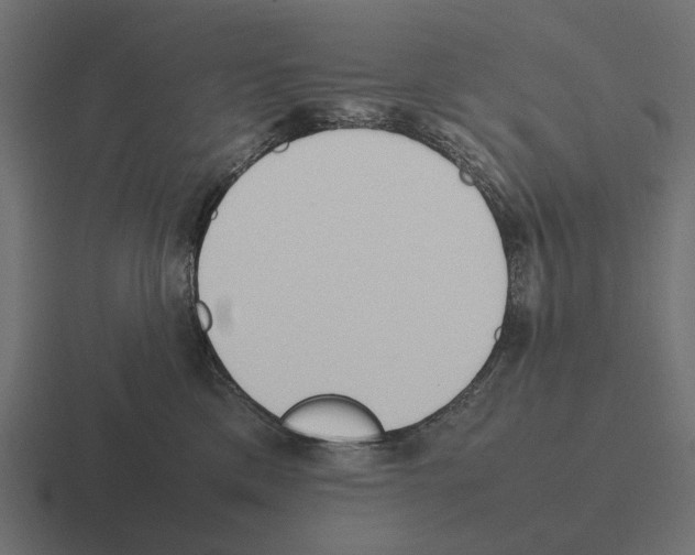 X0000116270425200912291337