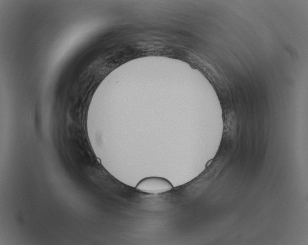 X0000116270430200912291337