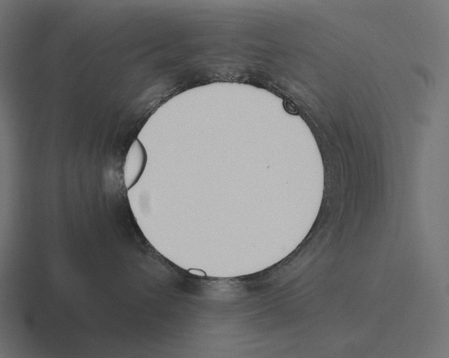 X0000116270432200912291337