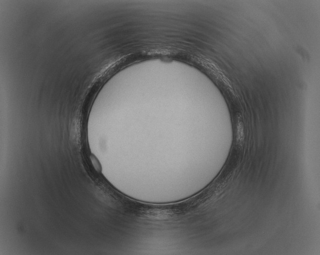 X0000116270444200912291336