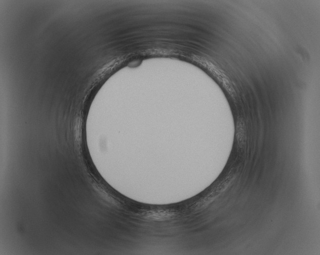 X0000116270445200912291336