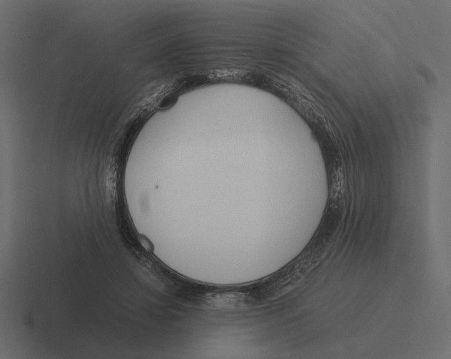 X0000116270452200912291336