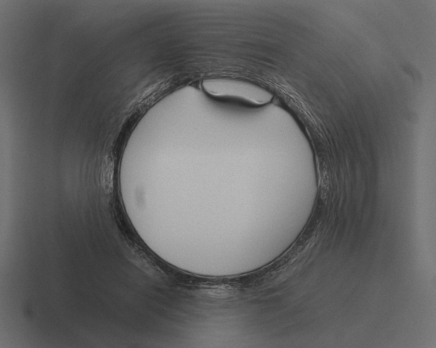 X0000116270454200912291336