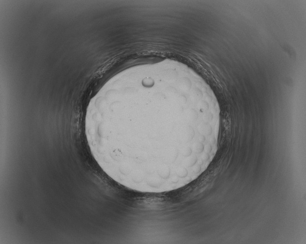 X0000116270462200912291336