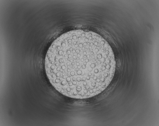 X0000116270470200912291337