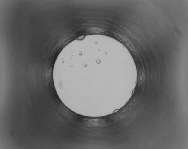 X0000116270473200912291337