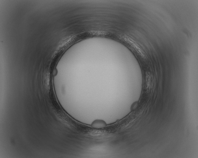 X0000116270494200912291336