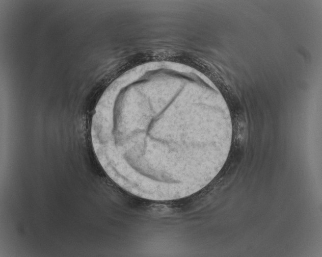 X0000116270519200912291336