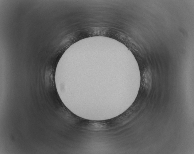 X0000116270522200912291336