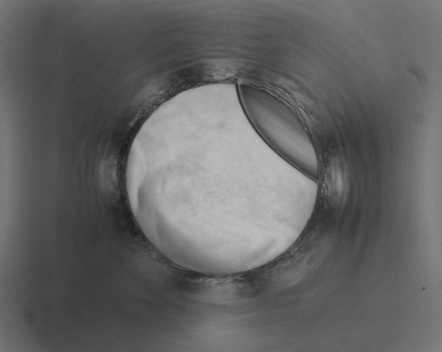X0000116270524200912291336