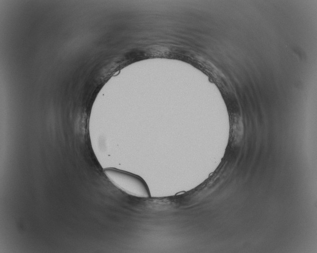 X0000116270525200912291336