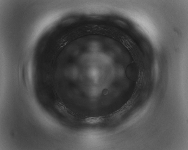 X0000116270526200912291336