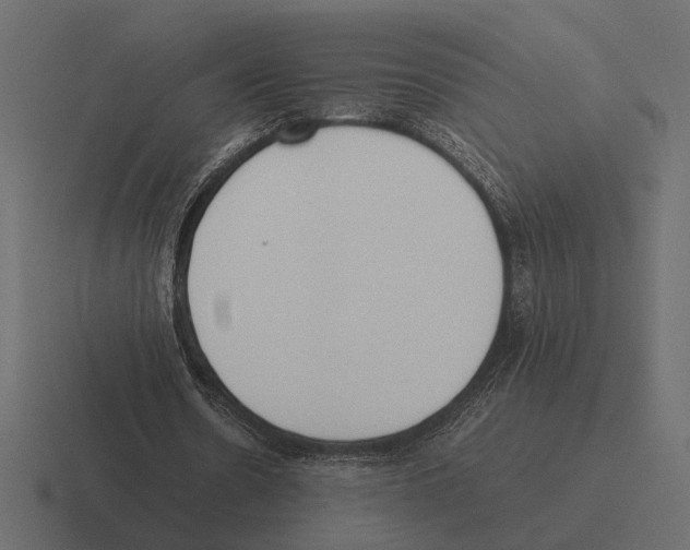 X0000116270530200912291335