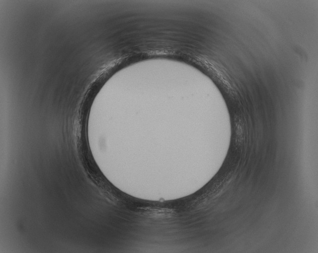X0000116270539200912291335