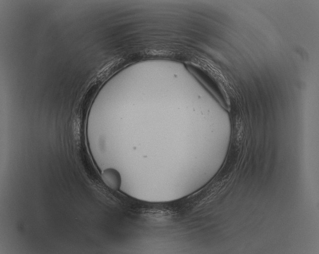 X0000116270542200912291335