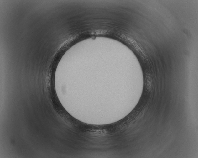 X0000116270543200912291335