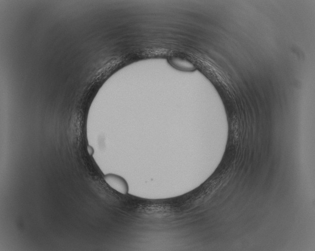 X0000116270546200912291335