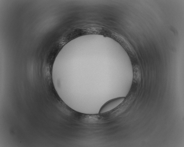 X0000116270573200912291335