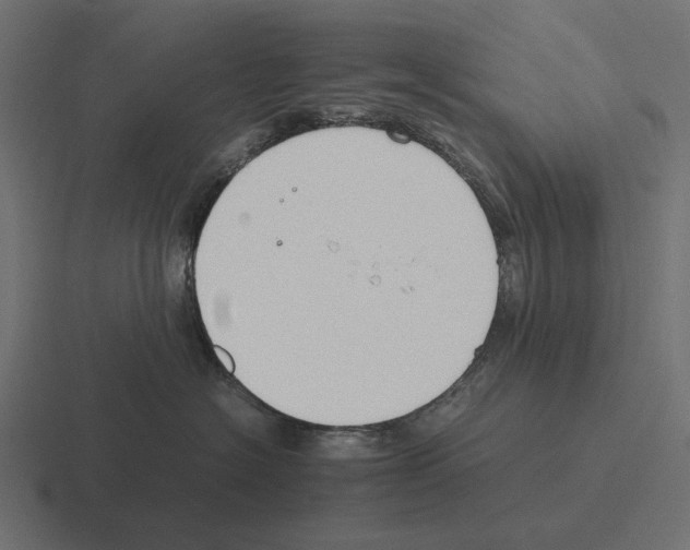 X0000116270574200912291335