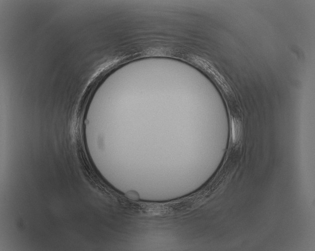 X0000116270579200912291335