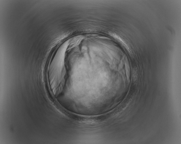 X0000116270581200912291335