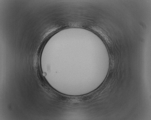 X0000116270583200912291335