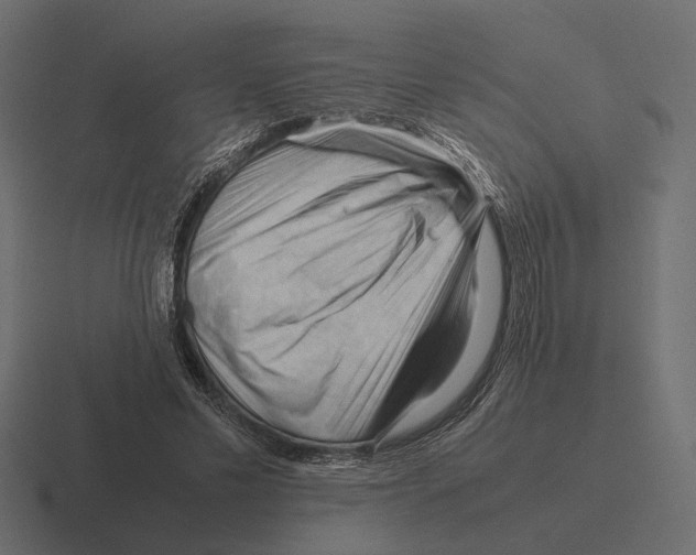 X0000116270589200912291335