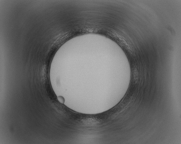 X0000116270594200912291335